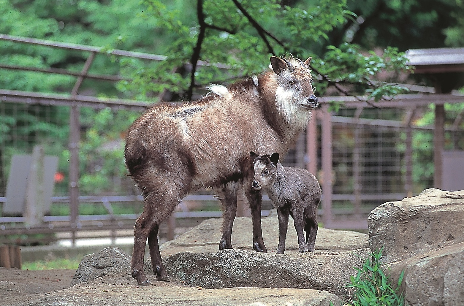詳細情報 東京都文化財情報データベース