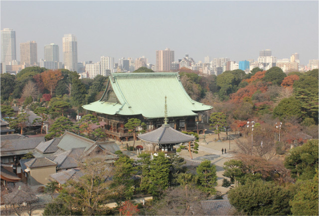 護国寺外観の写真