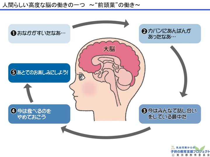 教材Ⅰ「脳と心の発達メカニズム ～五感の刺激の大切さ～」 スライド11