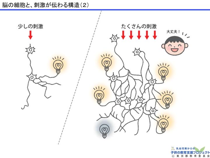 教材Ⅰ「脳と心の発達メカニズム ～五感の刺激の大切さ～」 スライド13