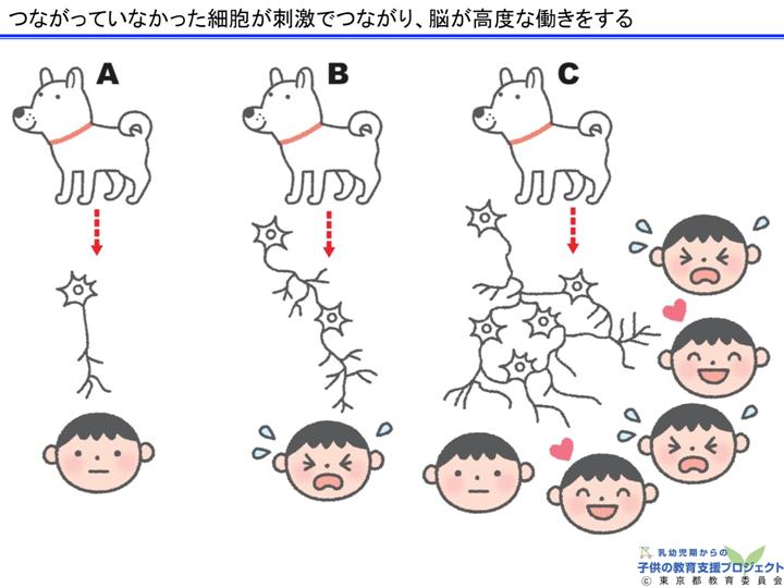 教材Ⅰ「脳と心の発達メカニズム ～五感の刺激の大切さ～」 スライド14