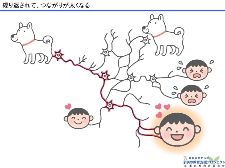 教材Ⅰ「脳と心の発達メカニズム ～五感の刺激の大切さ～」 スライド15