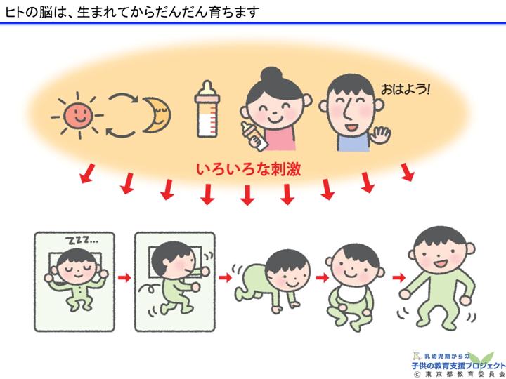 教材Ⅰ「脳と心の発達メカニズム ～五感の刺激の大切さ～」 スライド4