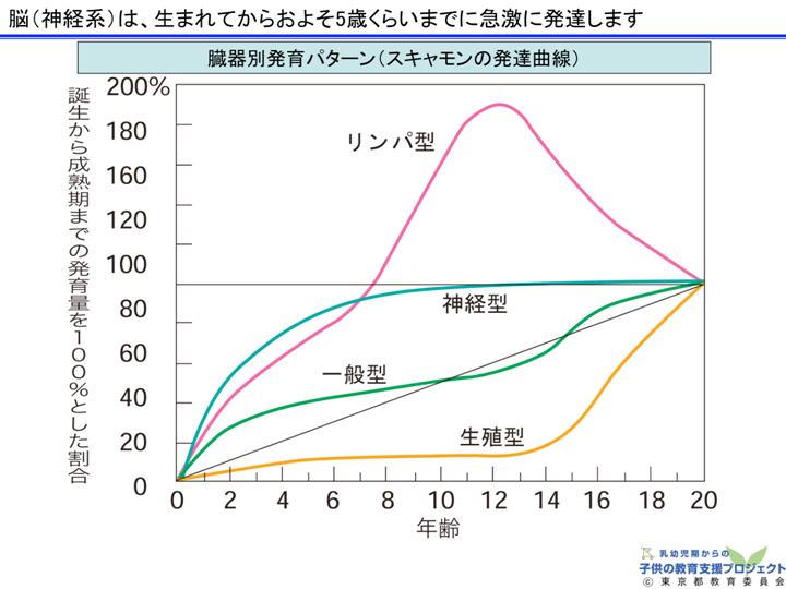 教材Ⅰ「脳と心の発達メカニズム ～五感の刺激の大切さ～」 スライド5