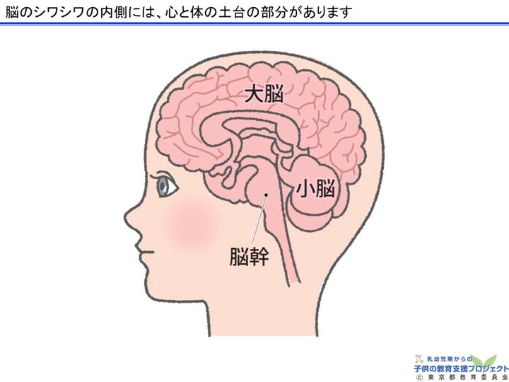 教材Ⅰ「脳と心の発達メカニズム ～五感の刺激の大切さ～」 スライド6