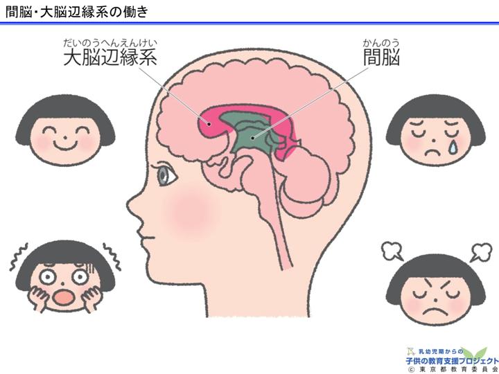 教材Ⅰ「脳と心の発達メカニズム ～五感の刺激の大切さ～」 スライド9