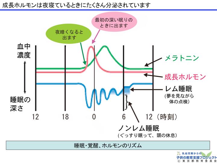 教材　「生活リズムの確立のために」 スライド8