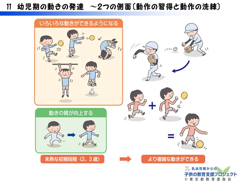 教材III　「運動能力の発達と「遊び」の大切さ　～運動遊びを通して育つもの～」 スライド11