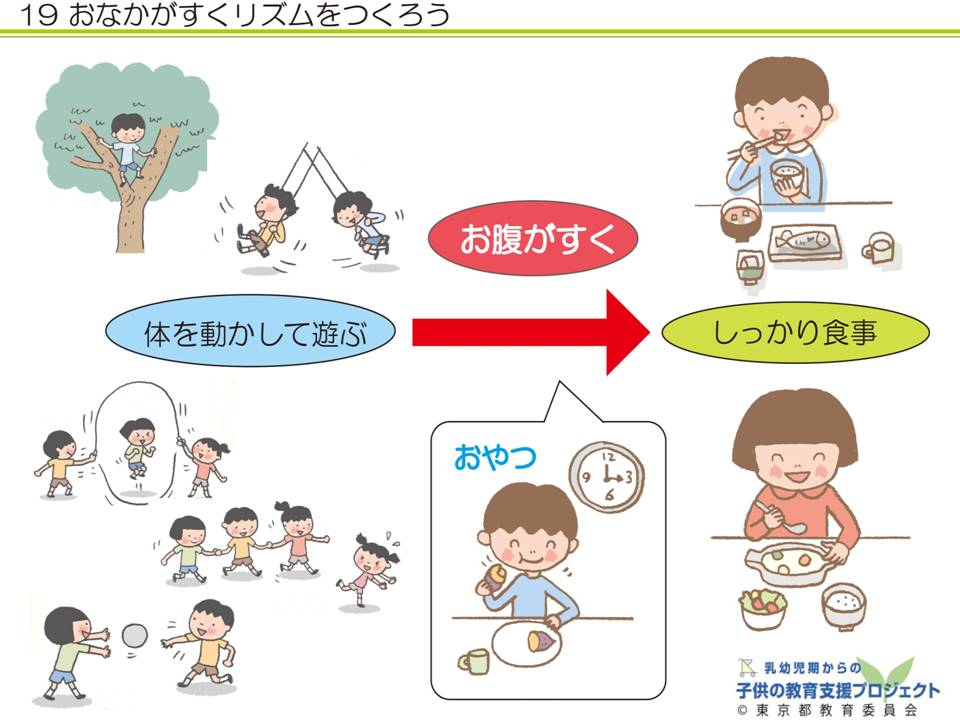 教材V　「乳幼児期からの「食」を育む　～食文化と、体の中の食べ物の通り道～」 スライド19