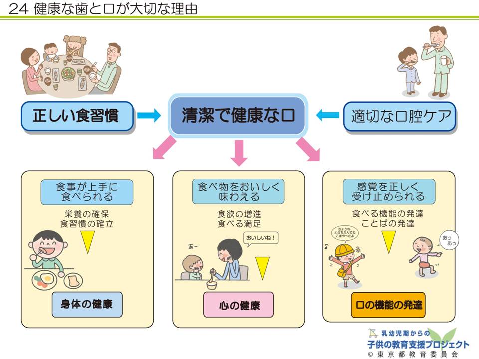 教材V　「乳幼児期からの「食」を育む　～食文化と、体の中の食べ物の通り道～」 スライド24