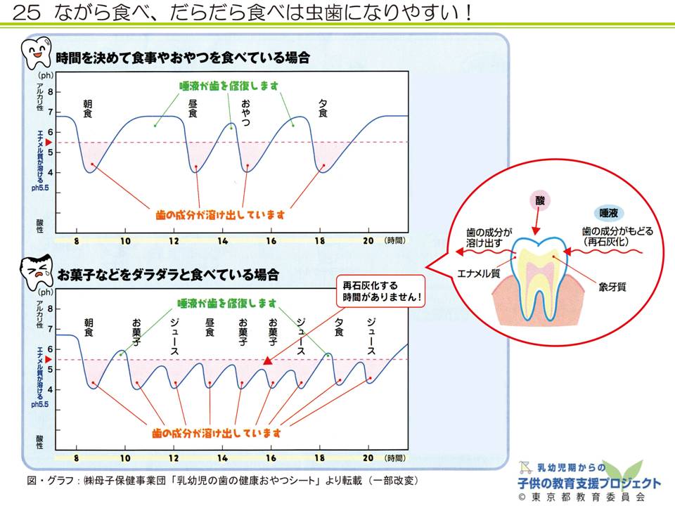 教材V　「乳幼児期からの「食」を育む　～食文化と、体の中の食べ物の通り道～」 スライド25