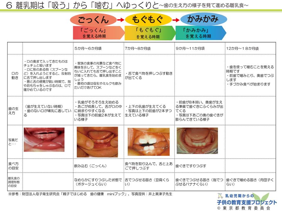 教材V　「乳幼児期からの「食」を育む　～食文化と、体の中の食べ物の通り道～」 スライド6