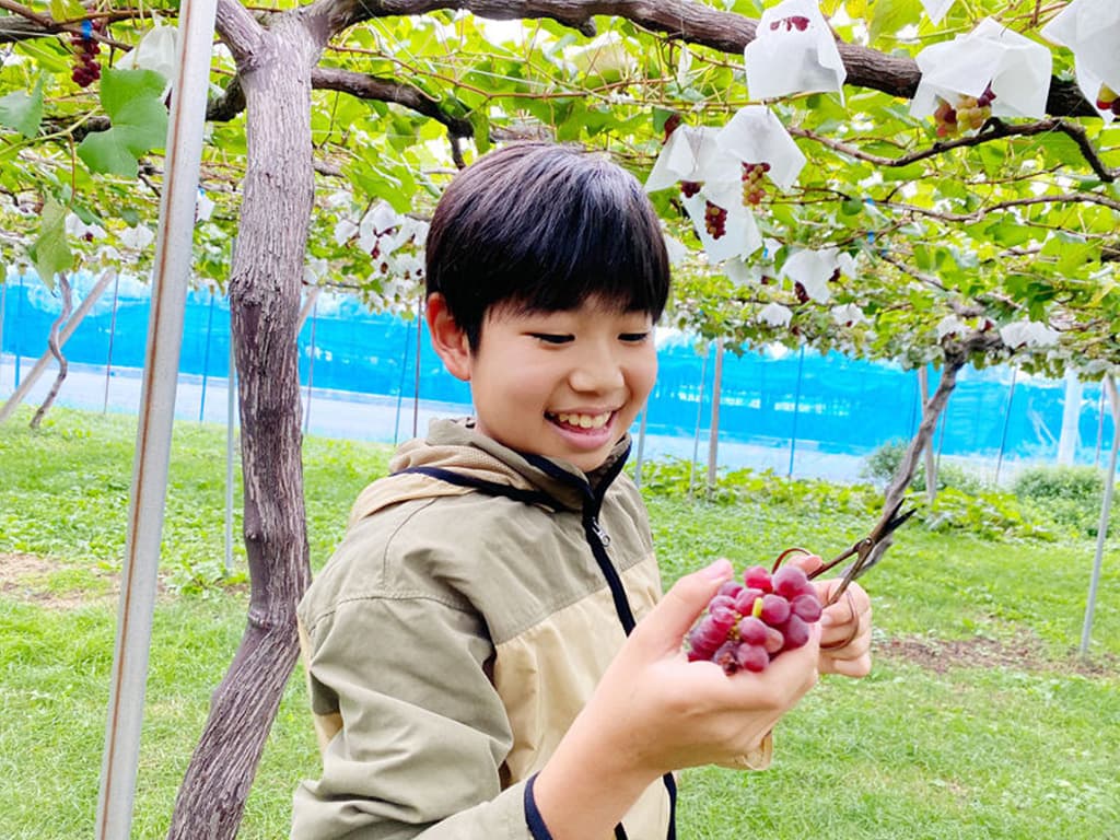 子どもぶどう狩りツアー