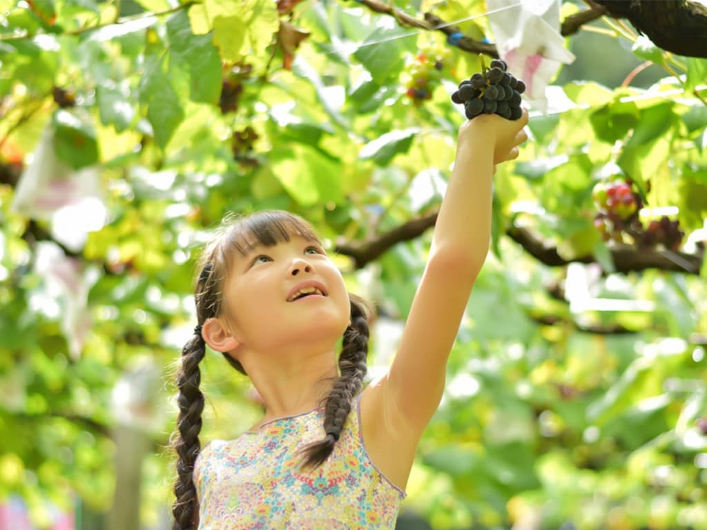 子どもぶどう狩りツアーの子どもたちの様子